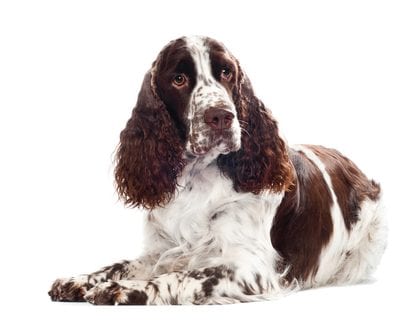 shutterstock_124772839.jpg