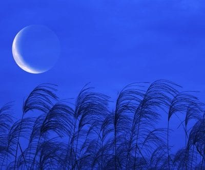 Balsamic Moon