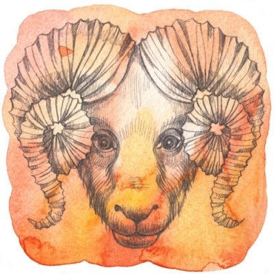 Aries Star Sign